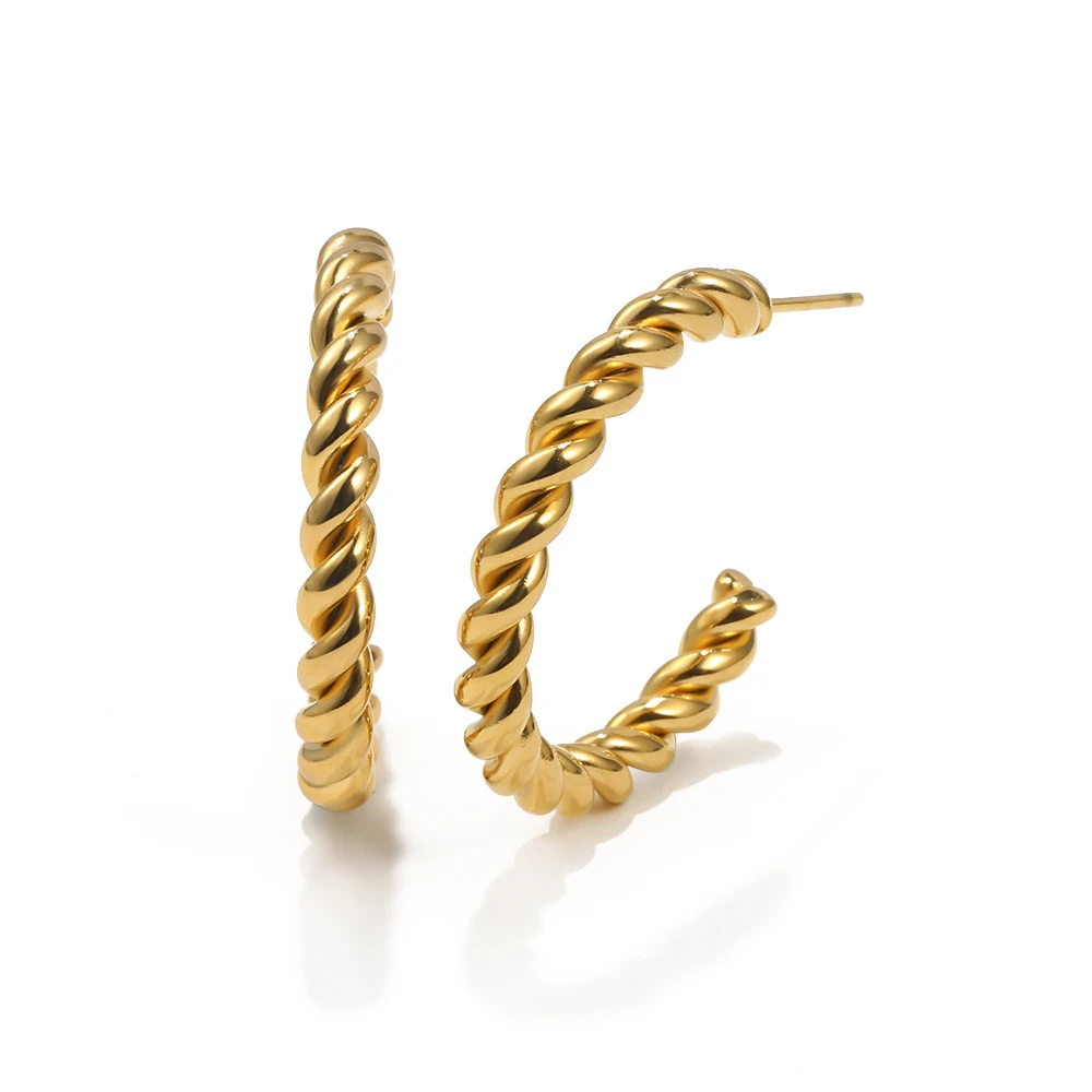Luxury Earrings