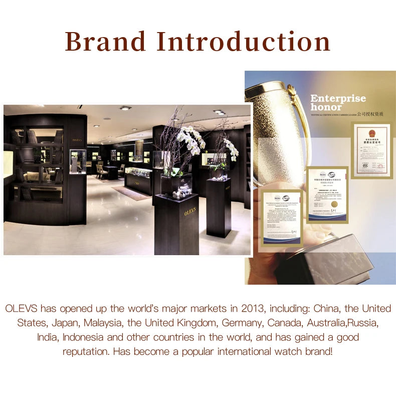 OLEVS 9987 Women's Watch Square Dial Waterproof Quartz Watch For Women Luxury Original Elegant Ladies Wristwatch Steel Strap Vanaski